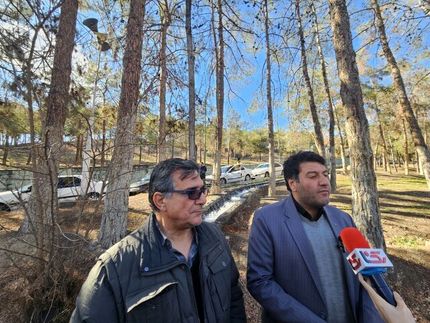 واکنش شهرداری تهران به قطع درختان چیتگر: درخت‌های آلوده را با نهال‌های جدید جایگزین می‌کنیم