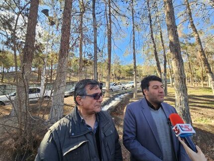 واکنش شهرداری تهران به قطع درختان چیتگر: درخت‌های آلوده را با نهال‌های جدید جایگزین می‌کنیم