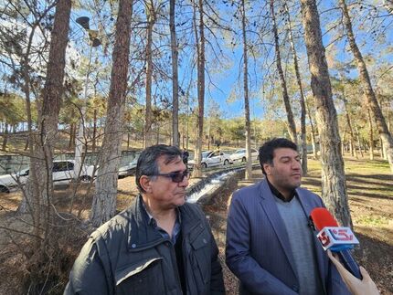 واکنش شهرداری تهران به قطع درختان چیتگر: درخت‌های آلوده را با نهال‌های جدید جایگزین می‌کنیم