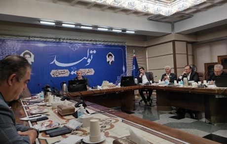 شرط اول و اصلی واگذاری سهام‌ خودروسازان؛ اهلیت خریداران