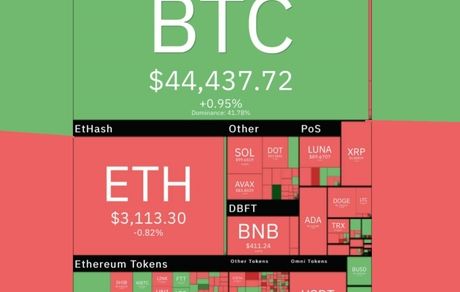 بیت کوین باز هم رشد کرد