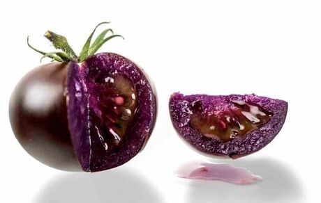 گوجه‌فرنگی بنفش اصلاح‌شده ژنتیکی مجوز تولید گرفت
