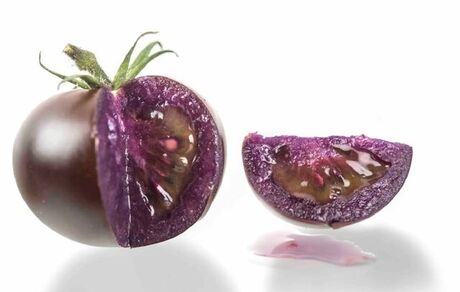 گوجه‌فرنگی بنفش اصلاح‌شده ژنتیکی مجوز تولید گرفت