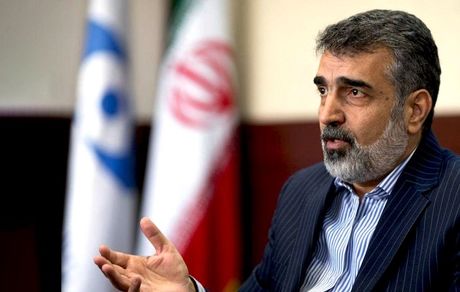 سخنگوی سازمان انرژی اتمی: اطلاعات دوربینهای نظارتی در صورت عدم توافق پاک میشود