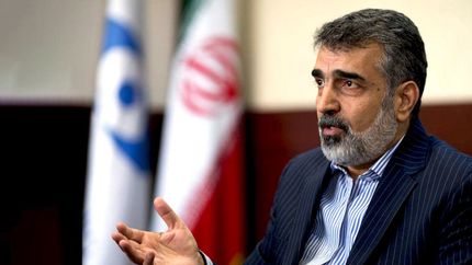 سخنگوی سازمان انرژی اتمی: اطلاعات دوربین‌های نظارتی در صورت عدم توافق پاک می‌شود