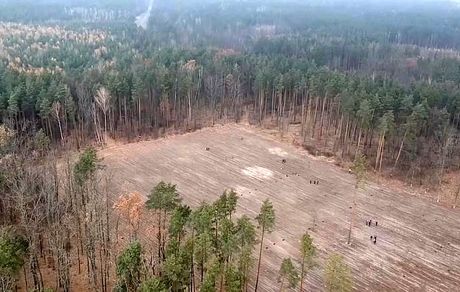 اوکراین برای احیای جنگل‌ها، یک میلیارد درخت می‌کارد