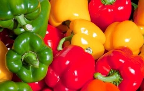 روسیه خریدار ۴۴ درصد فلفل‌ ایرانی