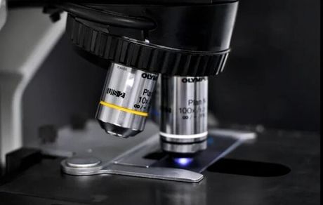 تهیه تصاویر ۳ بعدی توسط میکروسکوپها ۱۰۰ بار سریعتر شد