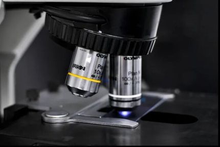 تهیه تصاویر ۳ بعدی توسط میکروسکوپها ۱۰۰ بار سریعتر شد