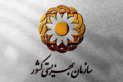 آسیب ۳۰ هزار خانوار تحت پوشش بهزیستی در جریان حملات متجاوزانه دشمن به کشورمان 