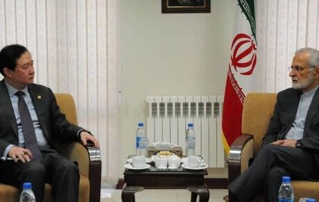 خرازی: از هر گامی برای حل اختلافات در منطقه استقبال می‌کنیم/ نگاه ایران به روابط با چین راهبردی است