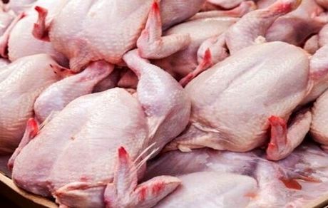 مرغ به اندازه کافی در ماه رمضان تامین شده است