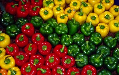 چرا واردات فلفل به روسیه ممنوع شد؟