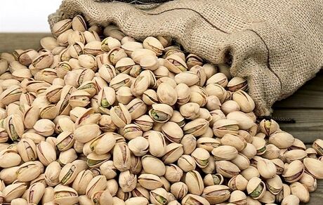 صادرات ۳۵۲ میلیون دلاری پسته تا پایان مردادماه