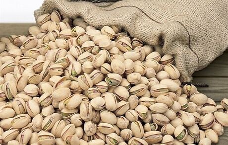 صادرات ۳۵۲ میلیون دلاری پسته تا پایان مردادماه
