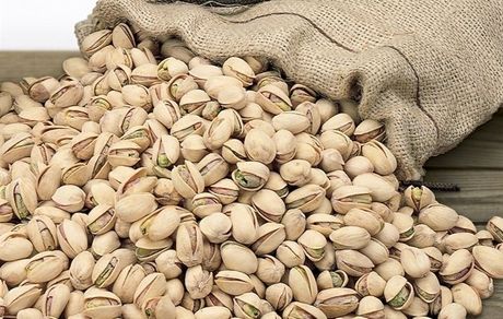 صادرات ۳۵۲ میلیون دلاری پسته تا پایان مردادماه