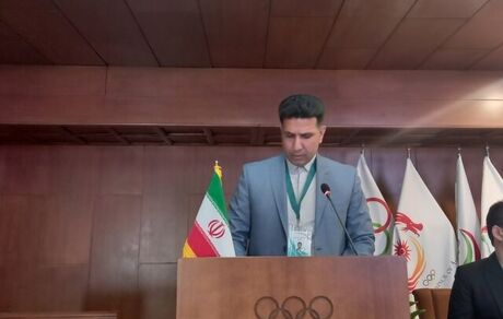 پاکدل باز هم رئیس فدراسیون هندبال شد