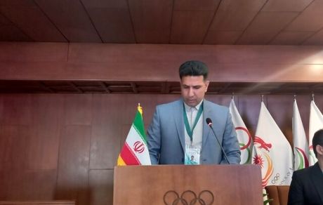 پاکدل باز هم رئیس فدراسیون هندبال شد