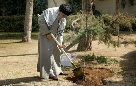 نهضت ملی درختکاری جدی گرفته شود و ادامه یابد