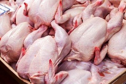ابلاغ مصوبه واردات مرغ به گمرک