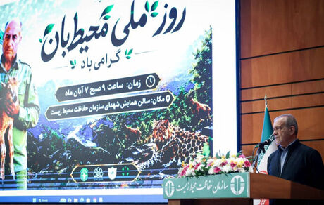 پزشکیان: دولت نیز در قبال صیانت از سرمایه‌های طبیعی کشور مسئولیت دارد
