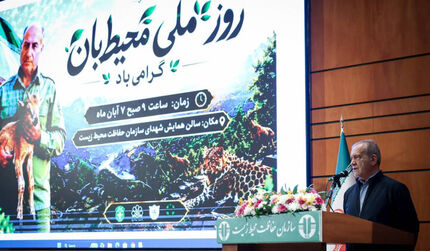 پزشکیان: دولت نیز در قبال صیانت از سرمایه‌های طبیعی کشور مسئولیت دارد