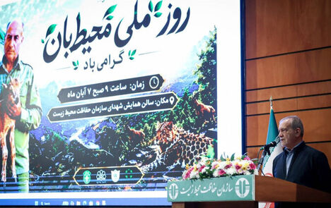 پزشکیان: دولت نیز در قبال صیانت از سرمایه‌های طبیعی کشور مسئولیت دارد