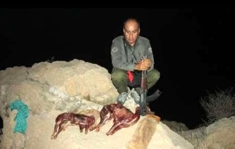 یکی از بهترین محیط‌بانان کشور در کوه خائیز به شهادت رسید