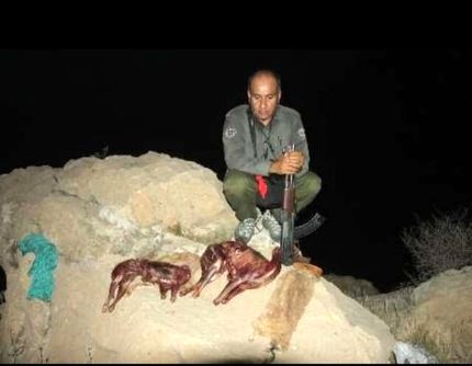 یکی از بهترین محیط‌بانان کشور در کوه خائیز به شهادت رسید