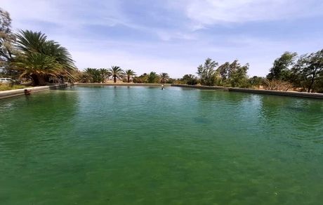 رهاسازی ۷۱ هزار قطعه بچه ماهی در استخرهای مهرستان