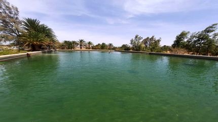 رهاسازی ۷۱ هزار قطعه بچه ماهی در استخرهای مهرستان