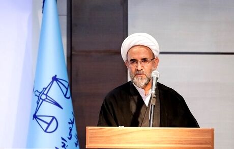 رئیس دیوان عدالت اداری: هر سال چند بار همه پرسی برگزار می‌شود