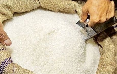 شکر یارانه‌ای از امروز توزیع می‌شود