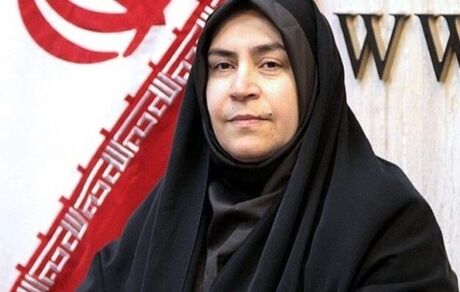 عملکرد بانک مسکن در اجرای طرح نهضت ملی رضایت بخش است
