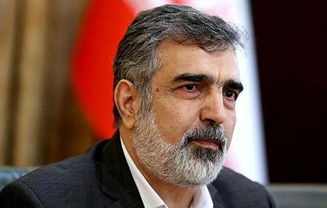 زلزله نطنز تاثیری بر تاسیسات هسته‌ای نداشته است
