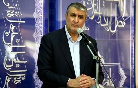 اسلامی: سازمان انرژی اتمی پرچمدار توسعه فعالیت‌های دانش بنیان خواهد بود
