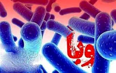 جان باختن حداقل ۲۱ نیجریه‌ای بدلیل شیوع وبا