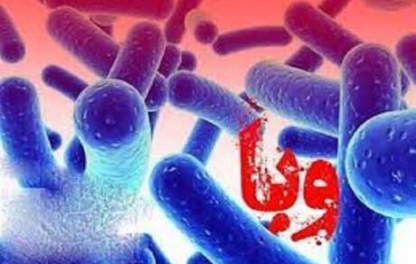 جان باختن حداقل ۲۱ نیجریه‌ای بدلیل شیوع وبا