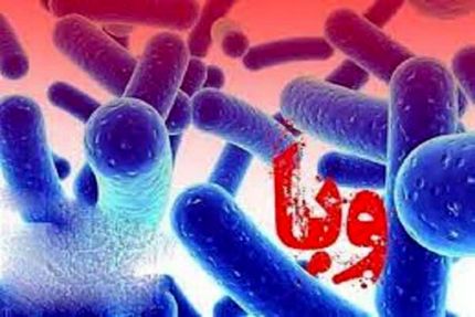 جان باختن حداقل ۲۱ نیجریه‌ای بدلیل شیوع وبا
