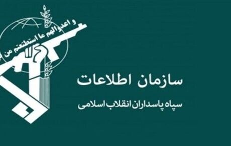 کلینیک مشهور ناباروری در شیراز توسط اطلاعات سپاه پلمب شد