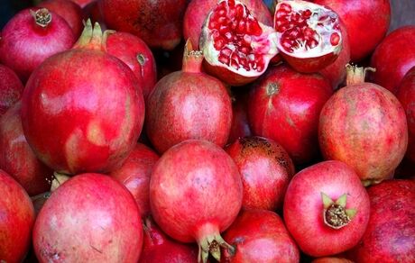 دومین جشنواره استانی انار هورامان در شهرستان سروآباد برگزار خواهدشد