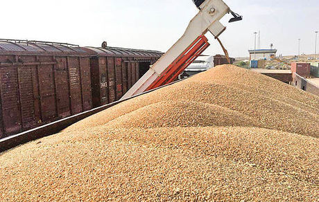 رشد پنج برابری نرخ ارز واردات گندم با حذف ارز ۴۲۰۰/ در آمد ۴۲ هزار میلیارد تومان برای دولت