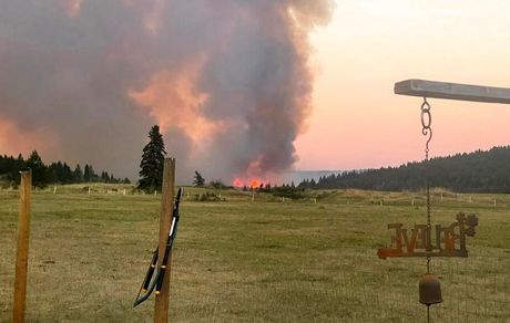 گرمای بی‌سابقه، عامل مرگ ۷۱۹ نفر در کانادا 