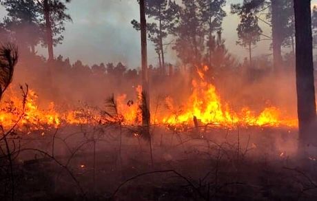 مهار آتش سوزی عرصه های مرتعی بخش بلده شهرستان نور