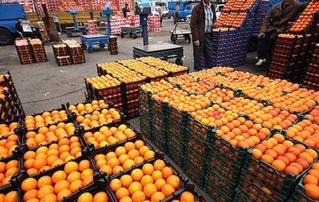 هماهگی برای ذخیره ۴۰۰ تن میوه برای شب عید در استان گیلان