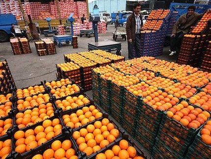 هماهگی برای ذخیره ۴۰۰ تن میوه برای شب عید در استان گیلان