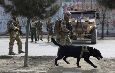 بریتانیا هم نیروهایش را از افغانستان خارج می‌کند