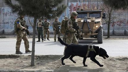 بریتانیا هم نیروهایش را از افغانستان خارج میکند