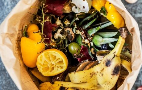 تبدیل ضایعات موادغذایی به سیمان، راه حل جدید دانشمندان ژاپنی برای ساخت و ساز
