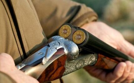 تفنگداران مجوزدار سه برابر بی مجوزها، حیوانات را کشتار می‌کنند